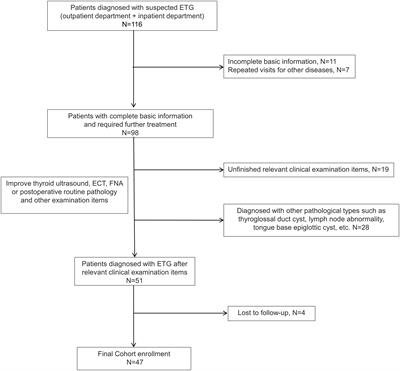 The clinicopathological features, treatment outcomes and follow-up results of 47 ectopic thyroid gland cases: a single-center retrospective study